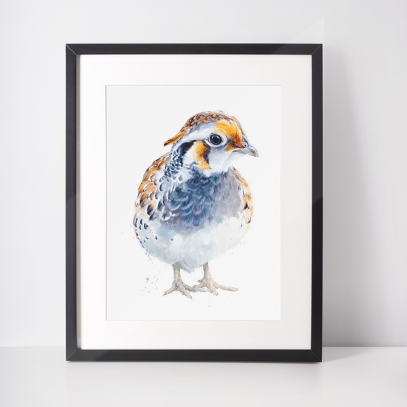 Watercolor Quail Wall Art Print, Unframed - Vibrant Nature-Inspired Home Decor - Picture 3 of 6